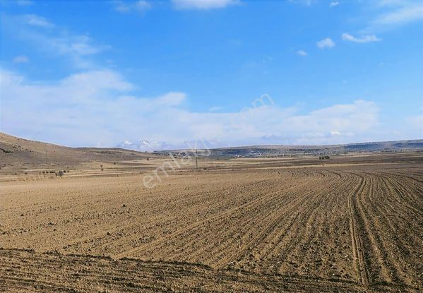 Nevşehir Kaymaklı Da Resmi Yol Cepheli Tarla