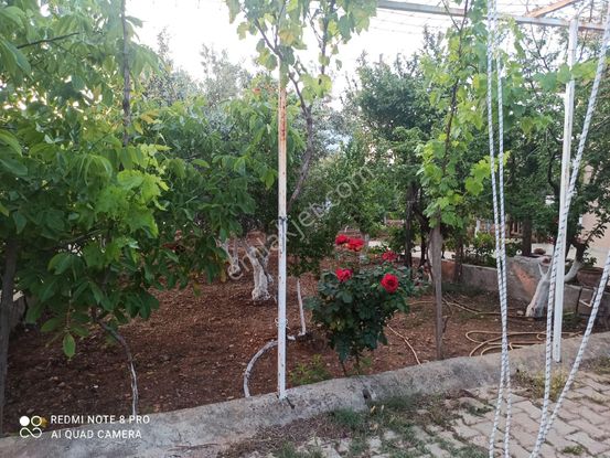Sahibinden Sancaklı Bozköy Satılık Bahçe