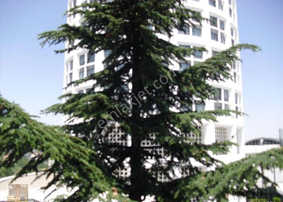 Gaziosmanpaşa Arjantinde 5+1 Teraslı 350 M2 Lüx Satılık Daire