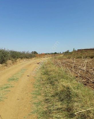 Tekirdağ Malkara Danişment'te Satılık Tarla Hissesi