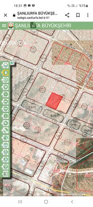 Fatih Beton Arkası Park Cepheli