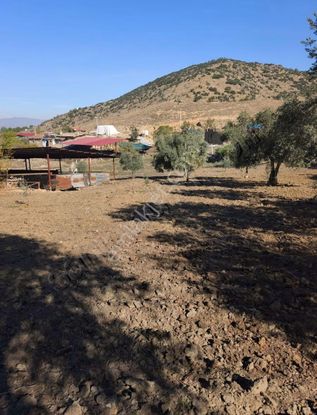 Nazilli Toygar Da Yatırım Fırsatı