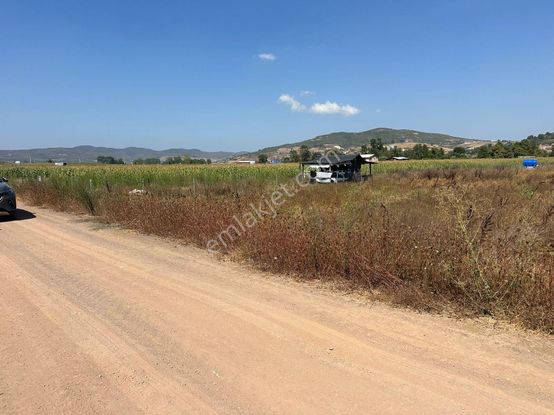 Kocaeli Körfez Cumada Acil Satilık Kelpir