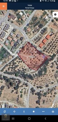 Karaburun İskele Mevki Satılık Yatırım Fırsatı Zeytinlik