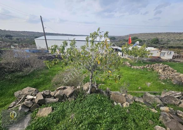 Şakran Sahile 4 Km Hacıömerlide Satılık Avlulu Kargir Ev Fırsat