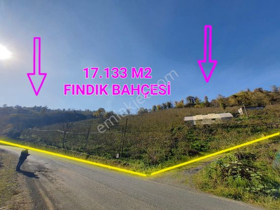 Anıl Gayrimenkul'den (17 Dönüm) Fırsattt Satılık Fındık Bahçesi