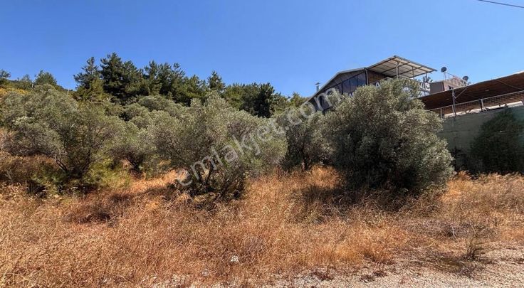 Öncü Emlaktan Gemlik Kurşunluda Villa İmarlı 532 M2 Arsa