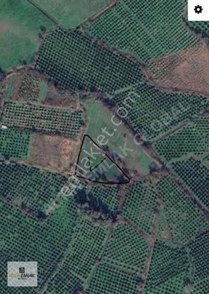 Kaçırılmayacak Fırsat Tek Tapu Tarla