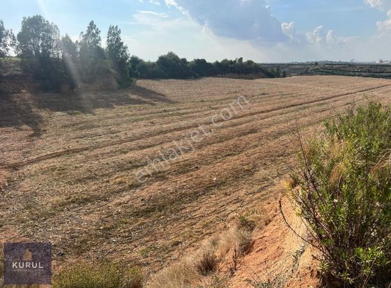 Kurul Gayrimenkulden Ceyhan Kızıldere Mevki Satılık Tarla