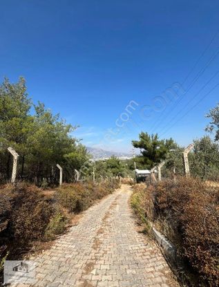 Artenew Emlak'tan Kemalpaşa'da 1950m² Bahçe