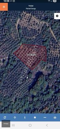 İznik Derbent Köyü Satılık Göl Manzaralı Zeytinlik.