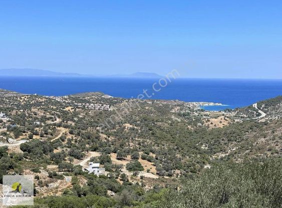 Foça Sazlıca Da Satılık Villa İmarlı Arsa