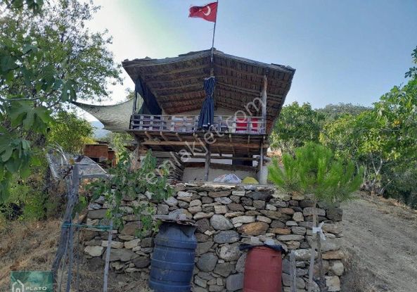 Satılık Bag Evi Ve Zeytin İncir Bahcesi
