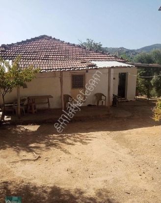 Satılık İki Adet Ev Ve Zeytinlik