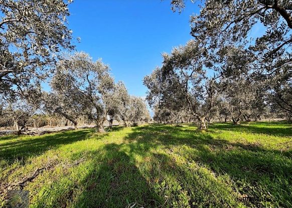 Çıkrıkçı Mevki %40 4 Kat İmarlı 8-12 Dairelik Arsa