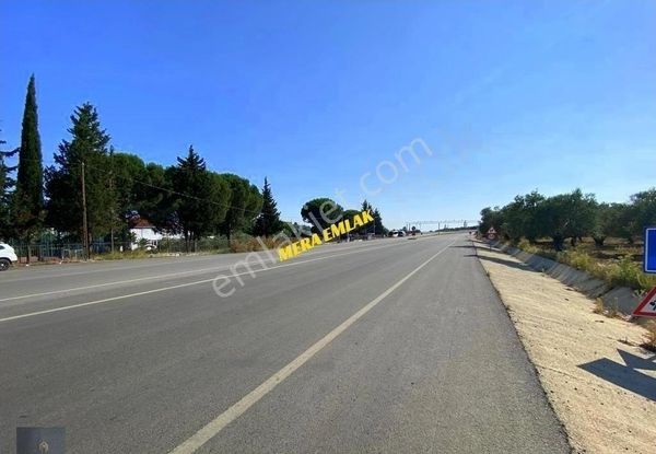 Tuzcumurat Mh Üniversite Karışısı Asfalt Cephe 500m2 İmarlı Arsa