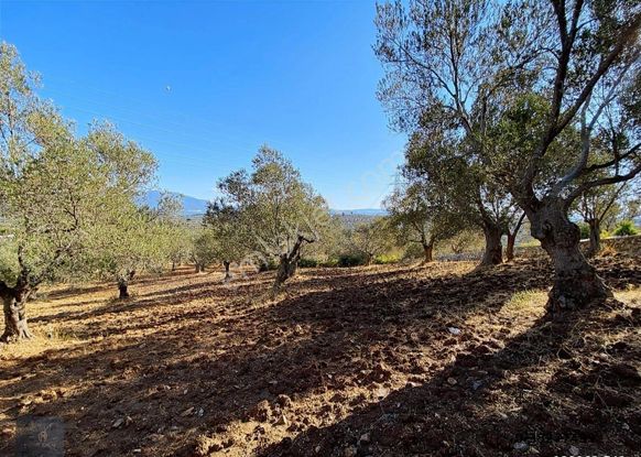 ▀▄mera Emlaktan Tuzcumurat Mh. 600m2 Emsal 15 2 Kat İmarlı Arsa