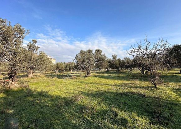 ▀mera Emlaktan Cennetayağı Mah. 16 Villalık 2.100 M2 İmarlı Arsa