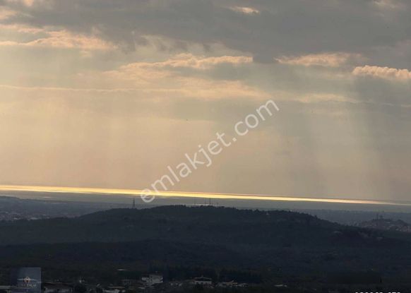 ▀▄mera Emlaktan Yaylaönü Mevkiğinde 17 Dönüm Satılık Zeytinlik