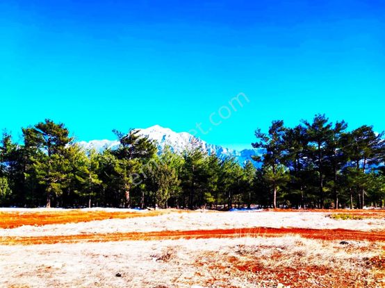 Kar Emlaktan Yenikonacık Efes Sitesinde 320 M2 İmarlı İfrazlı Hisseli Satılık Arsa