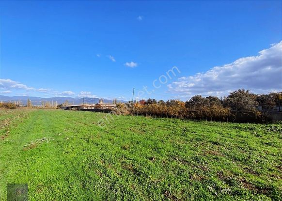 ▄▀mera Emlaktan Edremit Çıkrıkçı Ovasında 7479m2 Satılık Tarla