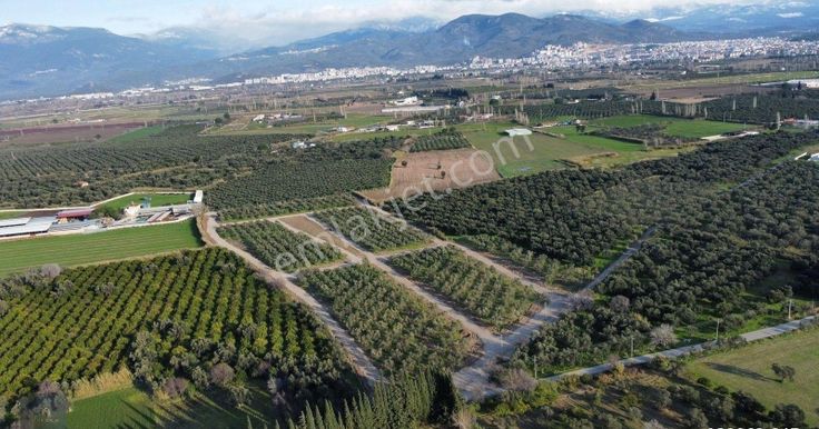 Mera Emlaktan Çıkrıkçı Mevki %40 4 Kat İmarlı 8-12 Dairelik Arsa