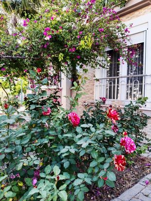 Dalaman Hurriyet Mah.de Mustakil Tadinda Ozel Otoparkli Daire