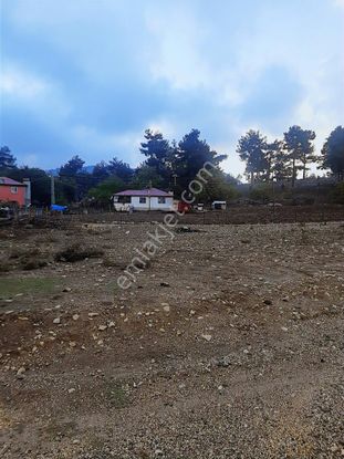 Aladağ'da 1 Dönüm Arsa