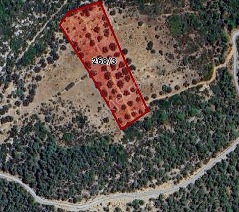 Bodrum Yalıçiftlikte 342 M2 Hisse Tapulu Tarla