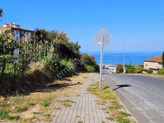 Trabzon Pelitli'de Mükemmel Konumda Satılık 300 M² İmarlı Arsa