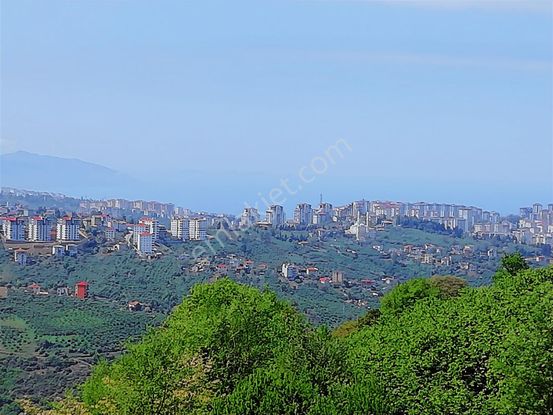 Bulak'ta Satılık 2.424 M² Manzaralı Arsa