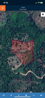 Sahibinden Tek Tapu Kestanelik