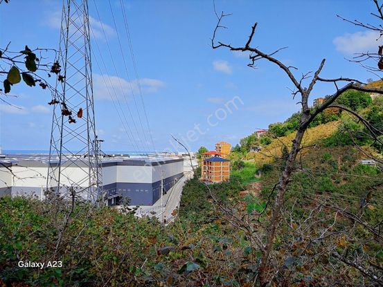 Arsin'de Satılık Arazi