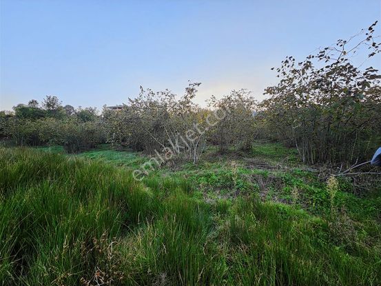 E&d Gyo'dan Trabzon Gölçayır'da Satılık 1.357 M² Arsa