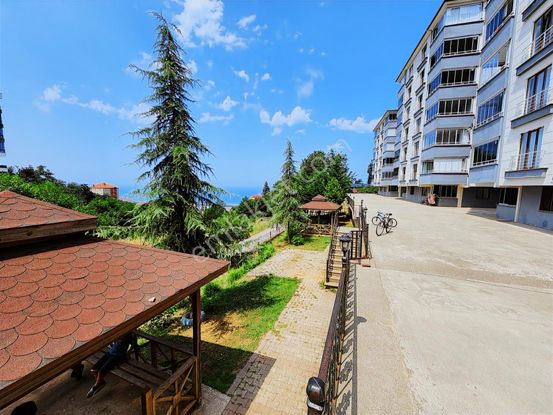 E&d Gyo'dan Trabzon Pelitli'de Kiralık 3+1 Daire