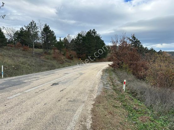 Bursa Orhaneli Göktepe Mahallesi'nde Yola Cephe 14.484 M2 Tarla