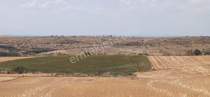 Edirne Orhaniye Köyünde Resmi Yola Cephe 8.500 M Yatırmlık Tarla Satılık