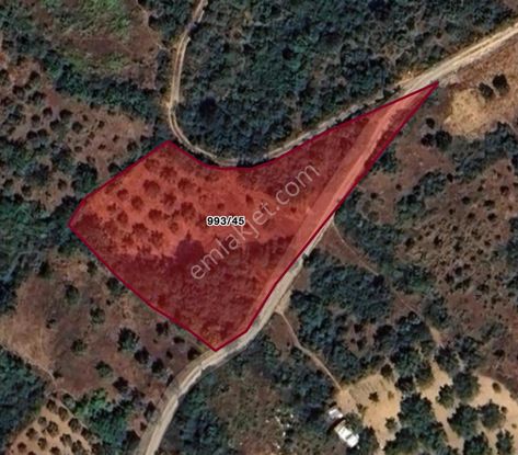 Cb Black'tan Bursa Yenişehir'de Satılık Tarla