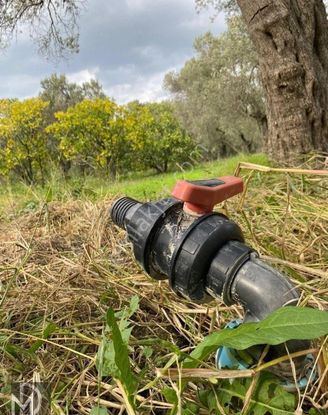 Mert Dinç'ten Cem Zeytincilik Arkası Asfalta Çok Yakın 5 Dönüm Muhteşem Zeytinlik