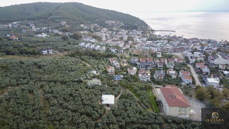 Opima Emlaktan Zeytinlik İçinde Müstakil Ev