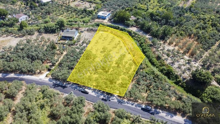 Opimadan Turanlarda Ana Yola Cephe 2840m² Satılık Zeytinlik