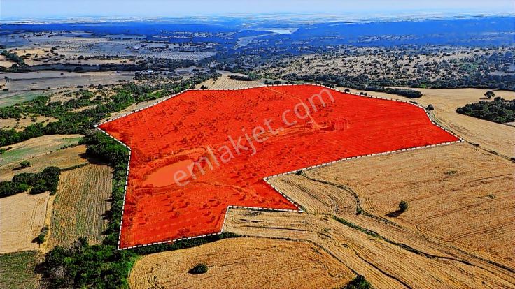 Kırklareli Yoltaş Ta 2000 Ad Ceviz Ağacı Çevrili Geniş Arazi