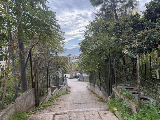 Tarcanlardan Deniz Manzaralı Kiralık 2+1 Daire