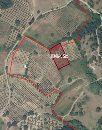 Provos Gayrimenkul, İnegöl Karakadı 3 Dönüm Satılık Tarla