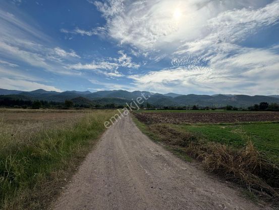 Balıkesir Sındırgı'da 14 M2 Köy Dibinde Telefon Parasına Fırsat Bahçe