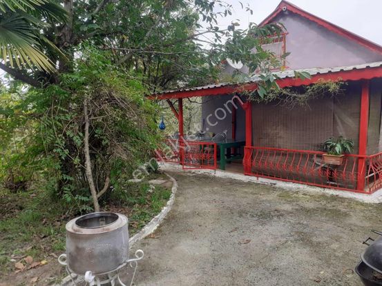 Tarcanlardan Doğanın İçinde Harika Bahçeli Kiralık Ev