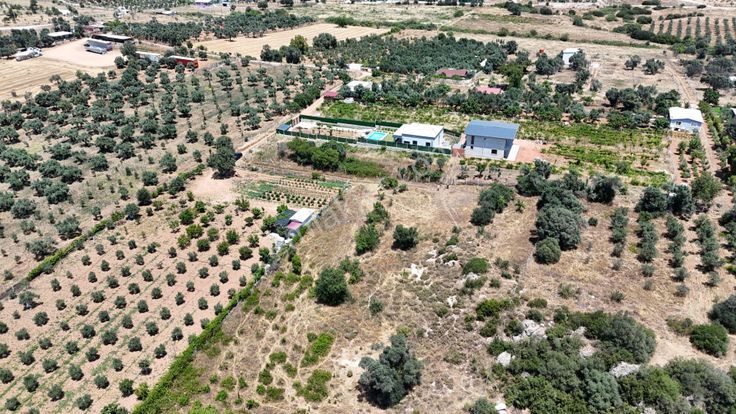 İzmir Dereköy'de Satılık 4.400 M2 Köye Yakın Çiftlik İçin Uygun Arazi