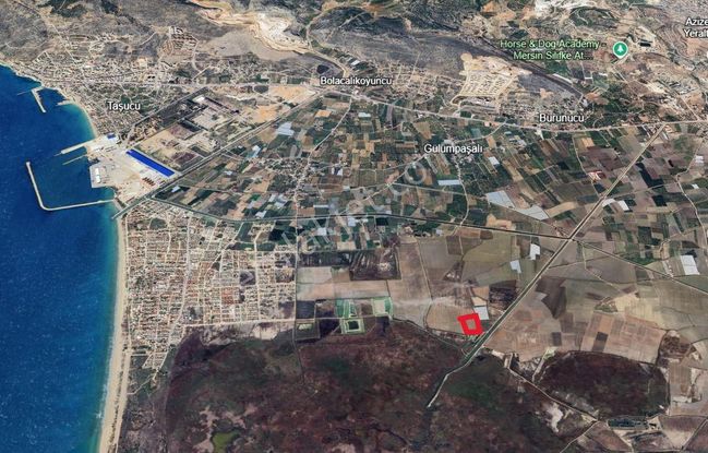 Remax Toros'tan Silifke Gülümpaşalı'da 13.750 M2 Satılık Tarla