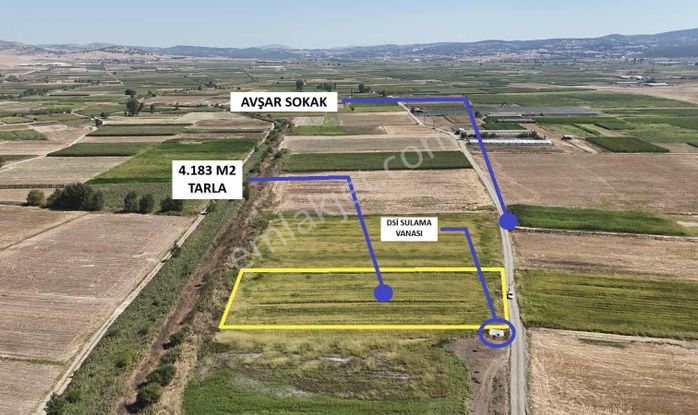 Balnova Gayrimenkul Den Kocavaşvar Da Köye Yakın Tarla
