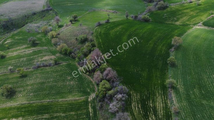 Çanakkale Merkez Ulupınar Da Satılık Tarla